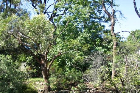 60 Dudley St, Asquith, NSW 2077