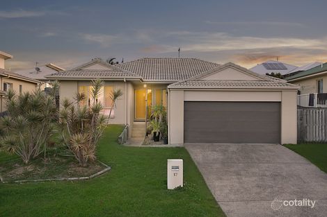 Property photo of 17 Amaranth Crescent Upper Coomera QLD 4209