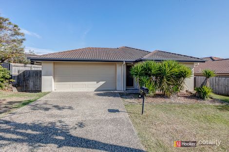 Property photo of 14 Wollumbin Crescent Waterford QLD 4133