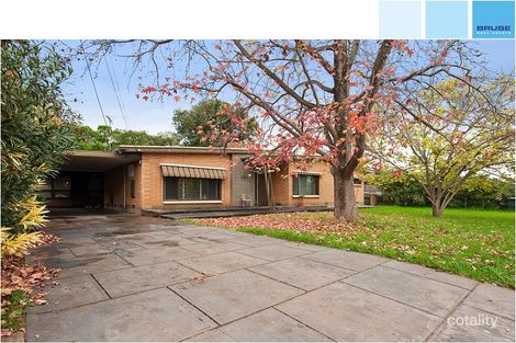 16 Woodmere Ave, Paradise, SA 5075