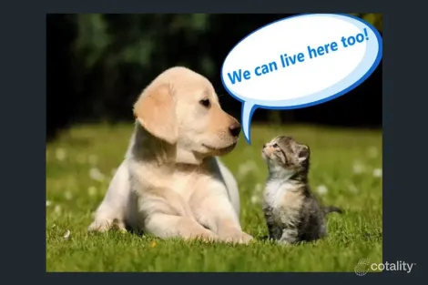 Property photo of 27 Godfrey Road Artarmon NSW 2064