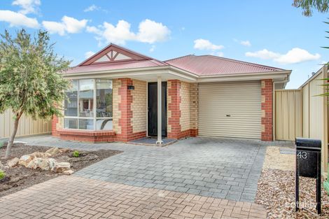 Property photo of 43 Nautical Circuit Seaford Meadows SA 5169