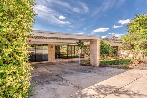 Property photo of 3 Clark Street Wattle Park SA 5066