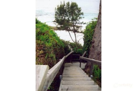 Property photo of 74 Cyrus Street Hyams Beach NSW 2540