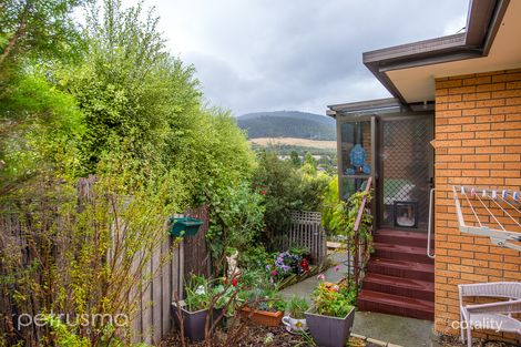 Property photo of 5/217 Tolosa Street Glenorchy TAS 7010