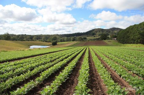 132 Wilsons Pocket Rd, Wilsons Pocket, QLD 4570