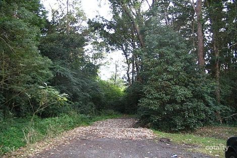 50 Toorak Ave, Erina, NSW 2250