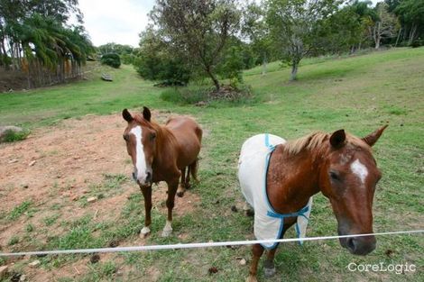 Property photo of 45 Green Valley Way Piggabeen NSW 2486