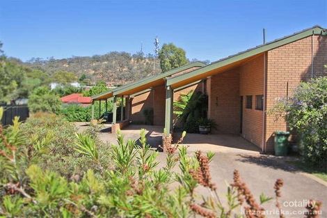 Property photo of 3/42 Kilpatrick Street Kooringal NSW 2650