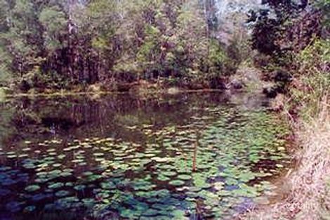 Property photo of 19 Pepper Berry Place Black Mountain QLD 4563