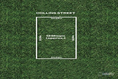 Property photo of 11 Collins Street Collinswood SA 5081