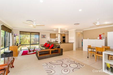 Property photo of 21 Cyperus Crescent Carseldine QLD 4034