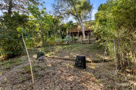 Property photo of 64 Hillsdon Road Taringa QLD 4068