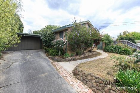 Property photo of 3 Mimosa Court Doncaster East VIC 3109