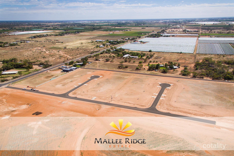 4 Retreat Ct, Irymple, VIC 3498