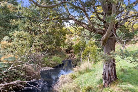 19 Champ St, Seymour, TAS 7215