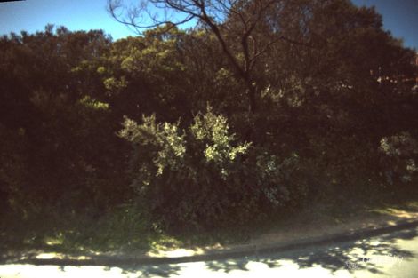 33 The Terrace, Ocean Grove, VIC 3226