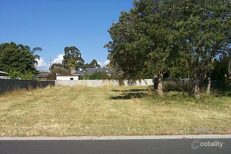 Property photo of 29 Bamboore Crescent Wanneroo WA 6065