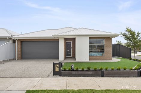 55 Reardon Cres, St Leonards, VIC 3223