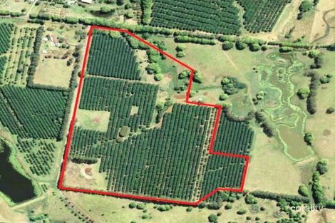 68 Humpty Back Rd, Mcleans Ridges, NSW 2480