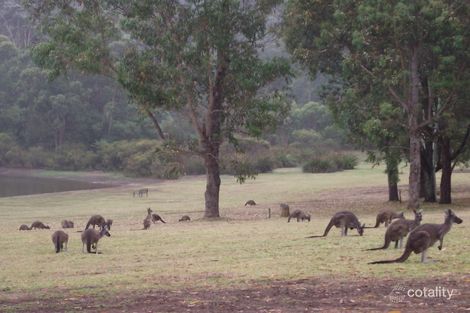 Property photo of 15 Dunnett Road Beedelup WA 6260