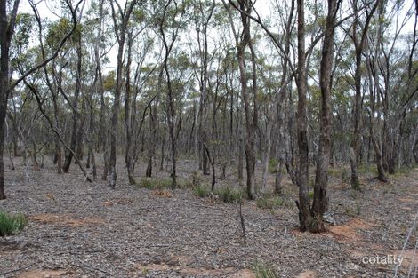 Property photo of 156 Timor Road Bowenvale VIC 3465