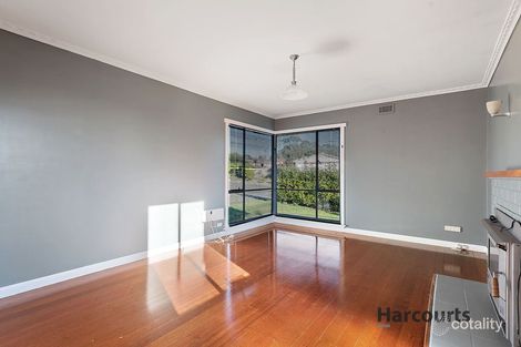 Property photo of 17 Elizabeth Street Scottsdale TAS 7260
