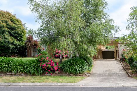 Property photo of 3 Montrose Court Mount Gambier SA 5290