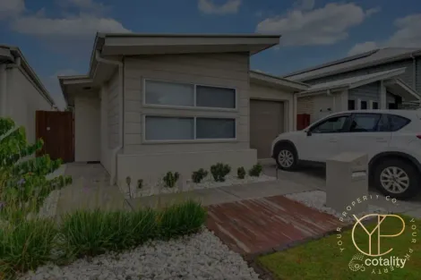 Property photo of 14 Vincent Avenue Sippy Downs QLD 4556