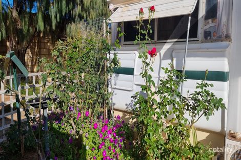 Property photo of 80/463 Marine Terrace West End WA 6530