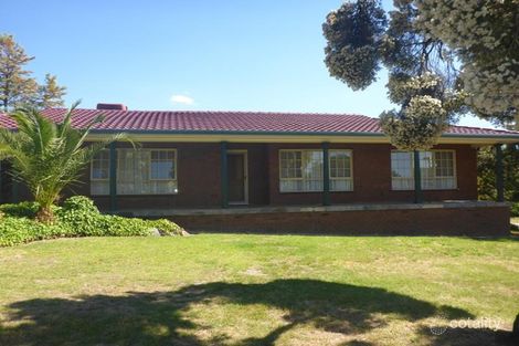Property photo of 432 Dale Crescent Lavington NSW 2641