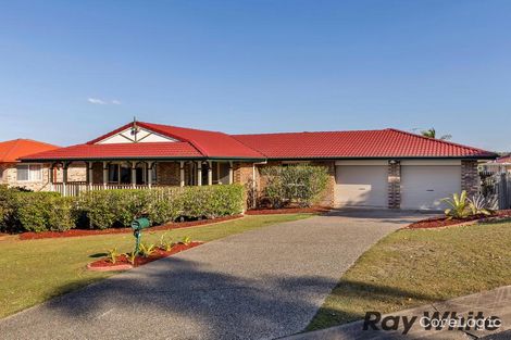 Property photo of 10 Bluebell Place Calamvale QLD 4116