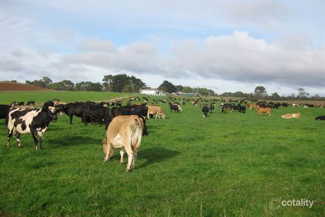 17 Wrights Rd, Mawbanna, TAS 7321