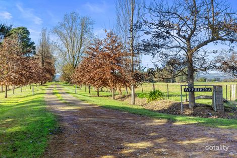 Property photo of 17 Bussells Lane Whorouly VIC 3735