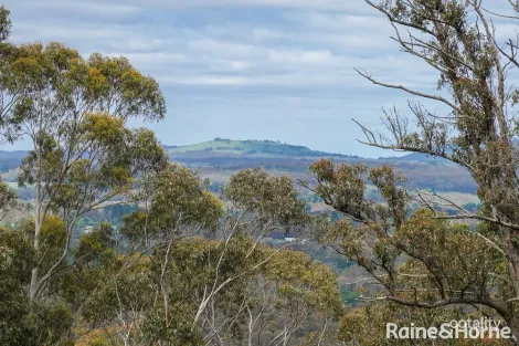Property photo of 38 Mabel Crescent Mount Macedon VIC 3441