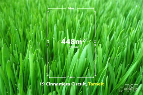 Property photo of 19 Cinnamara Circuit Tarneit VIC 3029