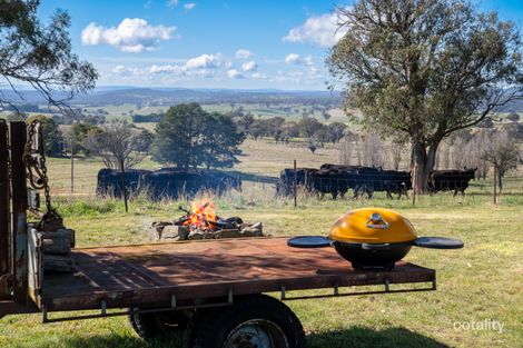 371 Caloola Rd, Newbridge, NSW 2795