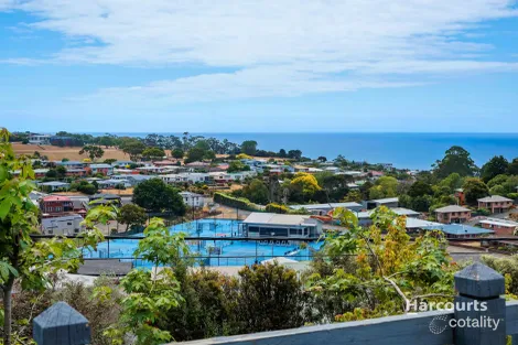 Property photo of 83 View Road Montello TAS 7320