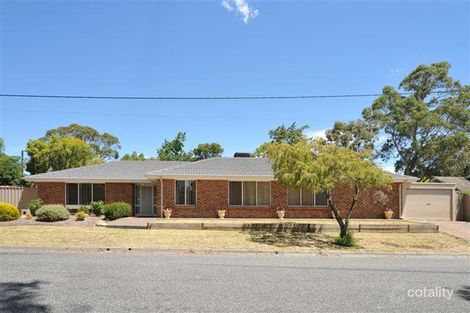 Property photo of 10 Davenport Street Banksia Park SA 5091
