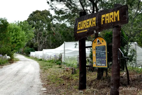 Property photo of 89 Upper Scamander Road Scamander TAS 7215