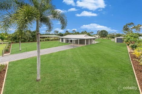 Property photo of 42 Flagstone Avenue Rangewood QLD 4817