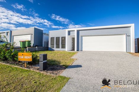 Property photo of 3 Lauenstein Crescent Pimpama QLD 4209