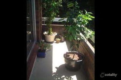 Property photo of 2/34 Sturdee Parade Dee Why NSW 2099