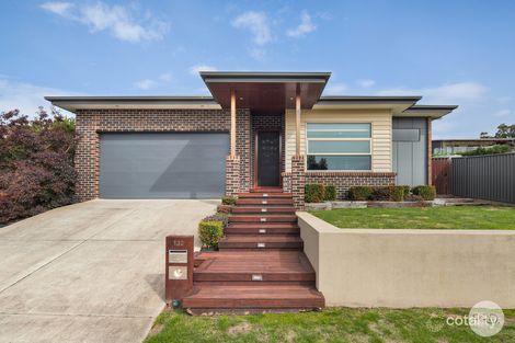 Property photo of 132 Finlay Street Brown Hill VIC 3350