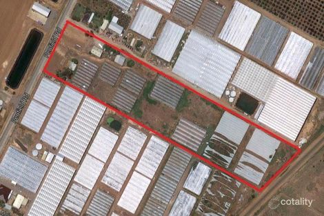 136 Penfield Rd, Virginia, SA 5120