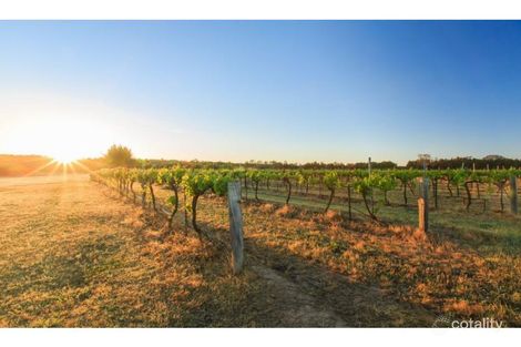 30 Wills Hill Rd, Lovedale, NSW 2325