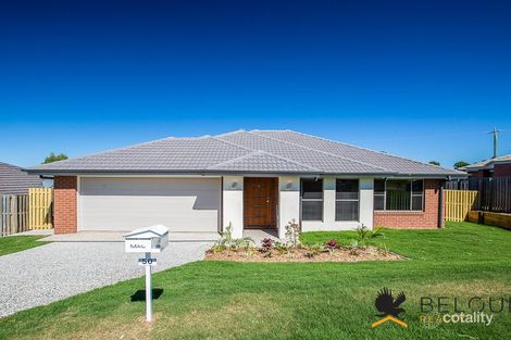 Property photo of 50 Shadywood Drive Fernvale QLD 4306