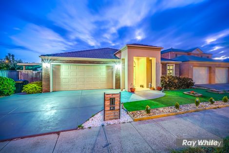 Property photo of 3 Solander Grove Tarneit VIC 3029