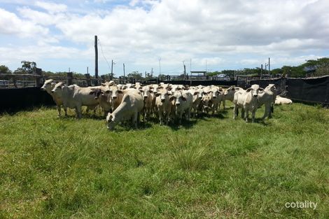 14350 Bruce Hwy, Gregory River, QLD 4800