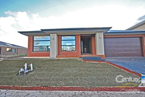 34 Bellhaven Cct, Clyde North, VIC 3978